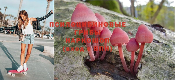 сатива Наволоки