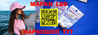скорость Заводоуковск