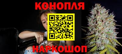 скорость Заводоуковск