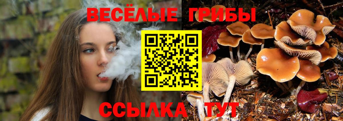 Псилоцибиновые грибы прущие грибы Лабинск