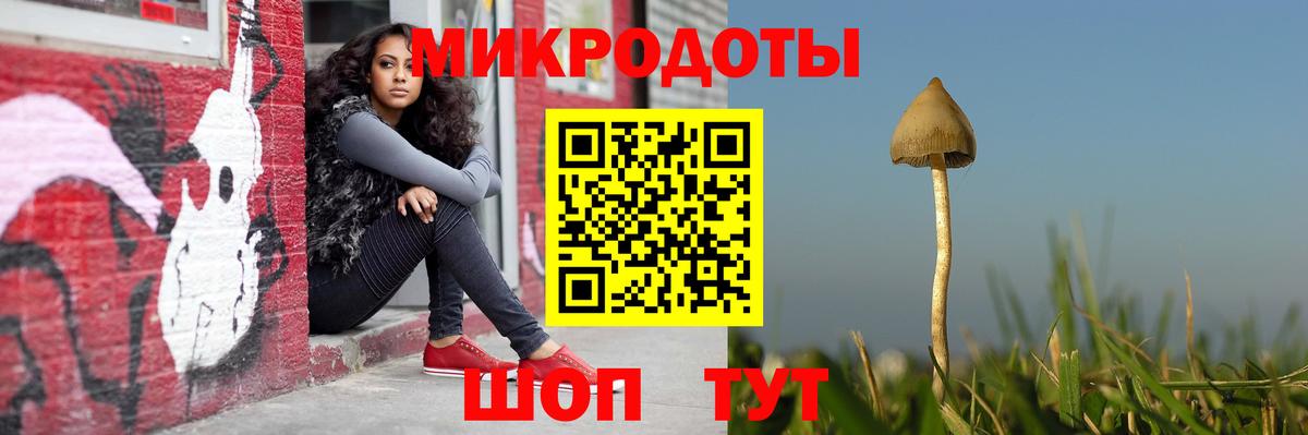Псилоцибиновые грибы Magic Shrooms  Псилоцибиновые грибы Psilocybine cubensis  Лабинск  Вход с VPN 